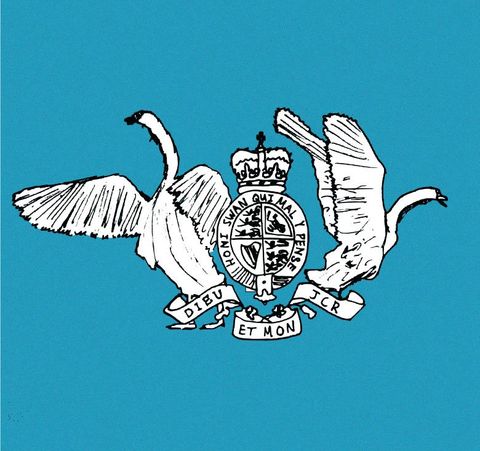 The Swan (College Magazine)